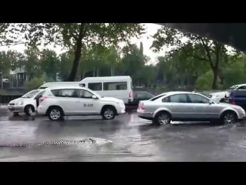 ნიანგი თბილისის ქუჩებში • Crocodile In Tbilisi's Streets